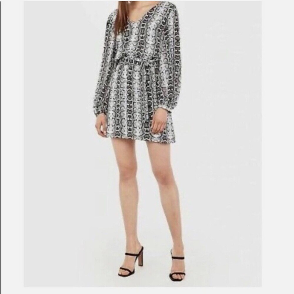 Express Snake Print Dress - Picture 2 of 6